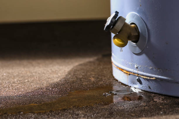  Cheney, WA Water damage restoration Pros