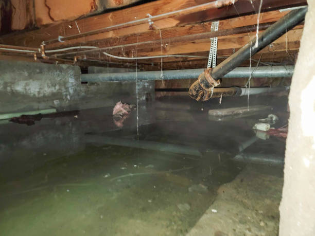Best Flooded house restoration  in Cheney, WA