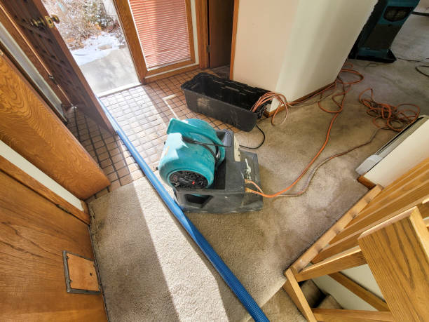 Best Sewage cleanup and water damage restoration  in Cheney, WA