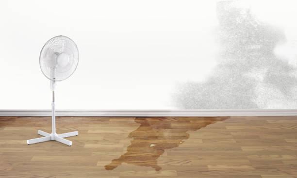 Best Professional water damage repair  in Cheney, WA
