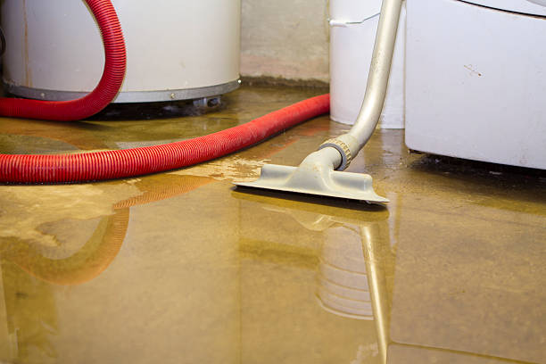 Best Mold removal after water damage  in Cheney, WA