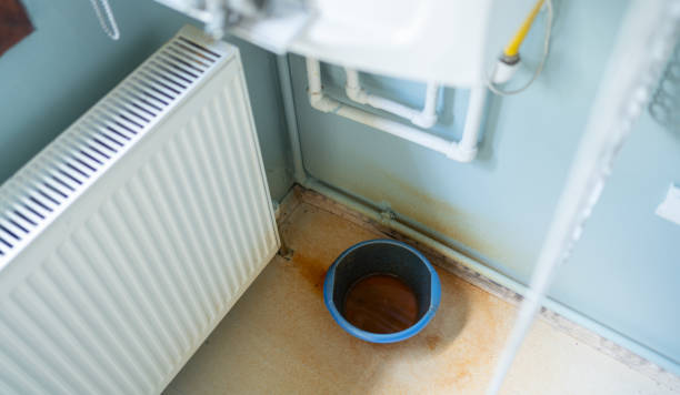 Best Emergency water extraction  in Cheney, WA